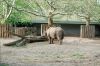 Berliner-Zoo-2013-130506-DSC_0716.jpg