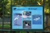 Tierpark-Neumuenster-Schleswig-Holstein-2013-130824-DSC_0621.jpg