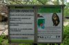 Berliner-Zoo-2013-130506-DSC_0417.jpg